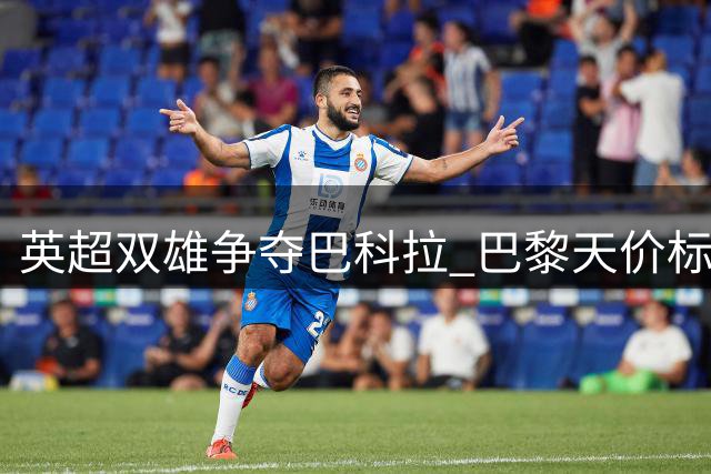 英超双雄争夺巴科拉 巴黎天价标价成交易障碍