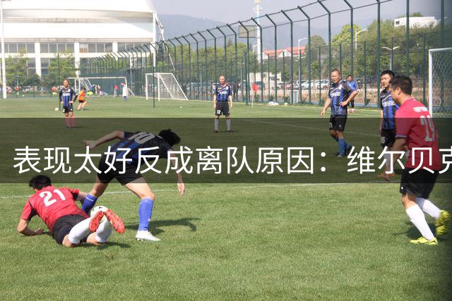 表现太好反成离队原因：维尔贝克转投切尔西，布莱顿锋线换代无退路